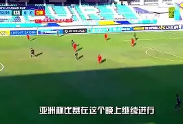  rookie是中国国籍吗 