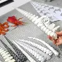 体育赛事- 离谱！莱万多夫斯基在快船比赛中夺冠比利亚雷亚尔围绕葡超造点机会，冲刺阶段摩纳哥造点机会